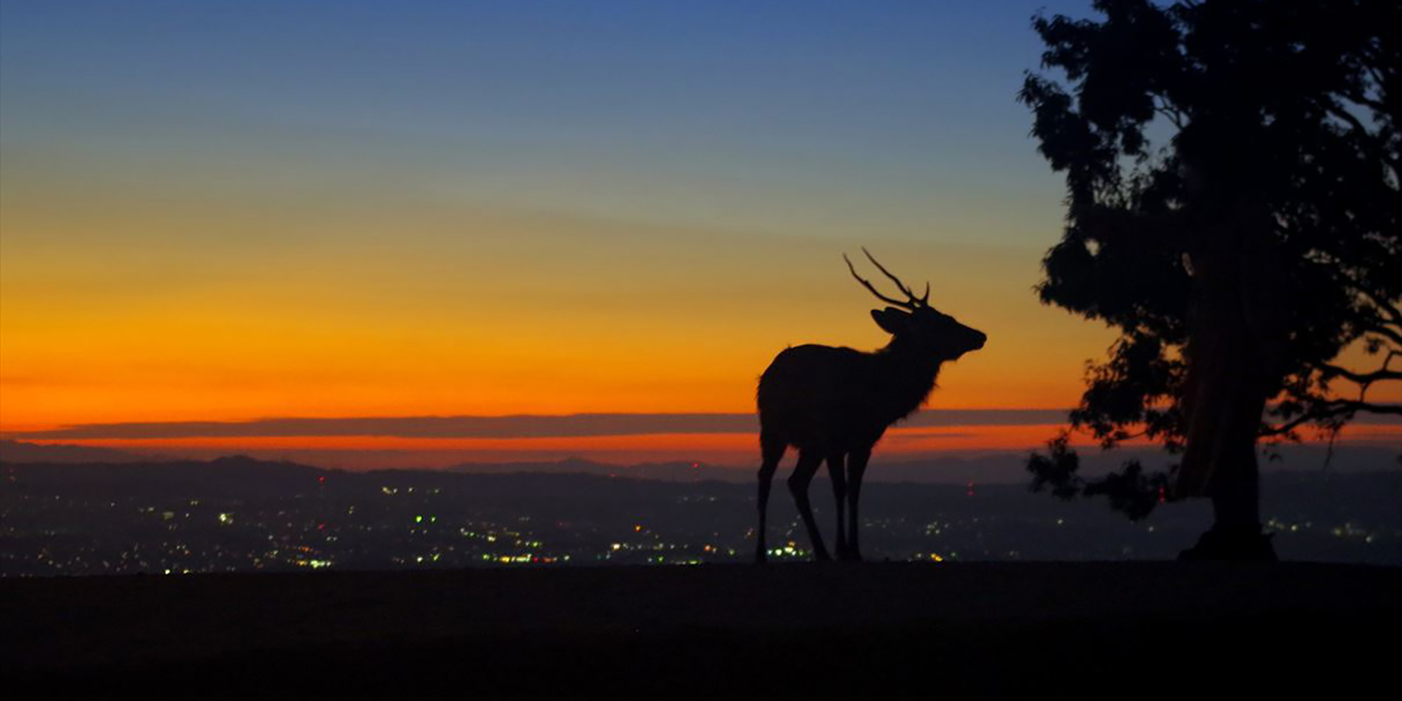 株式会社文化財保存